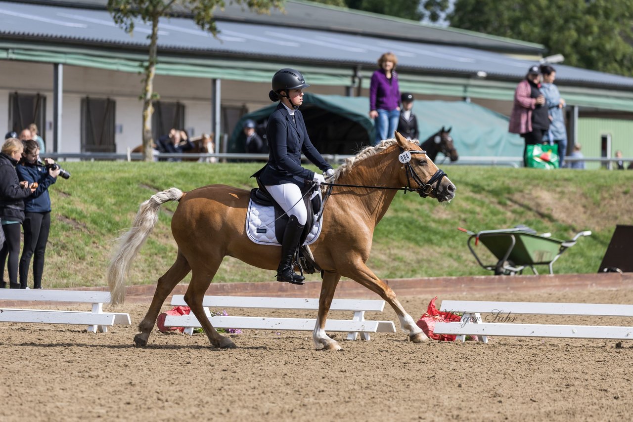 Bild 236 - Pony Akademie Turnier